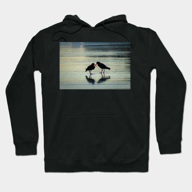 Two black oystercatchers silhouetted with orange beaks crossed, back-lit. Hoodie by brians101